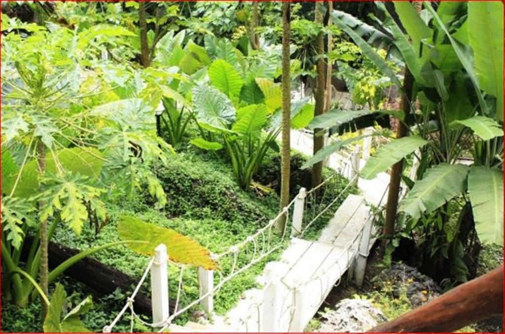Rai Preda Homestay Ao Luk Exterior foto