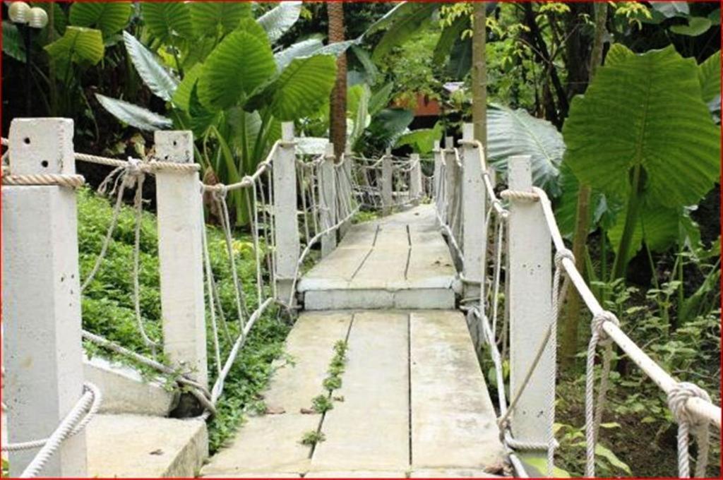 Rai Preda Homestay Ao Luk Exterior foto